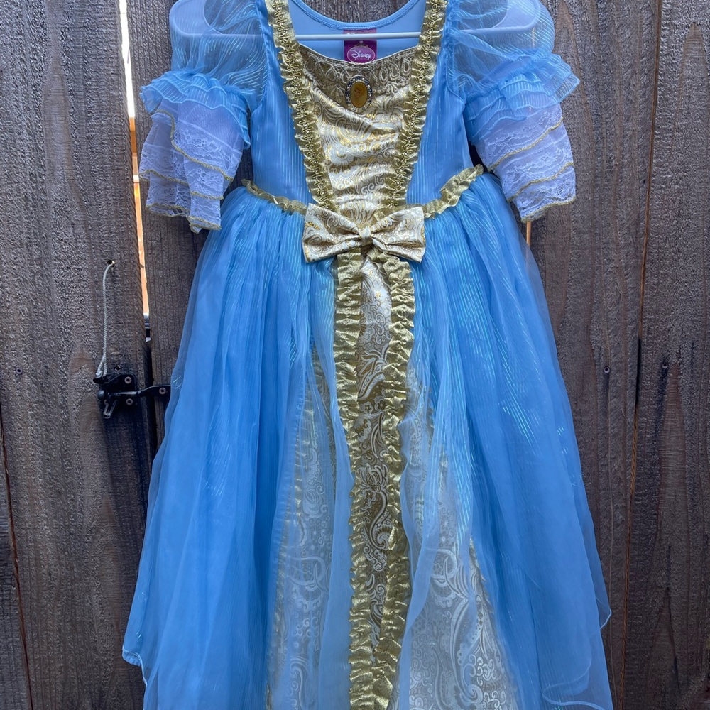 Cinderella’s Ballgown 
Disney Store Brand
Size 4